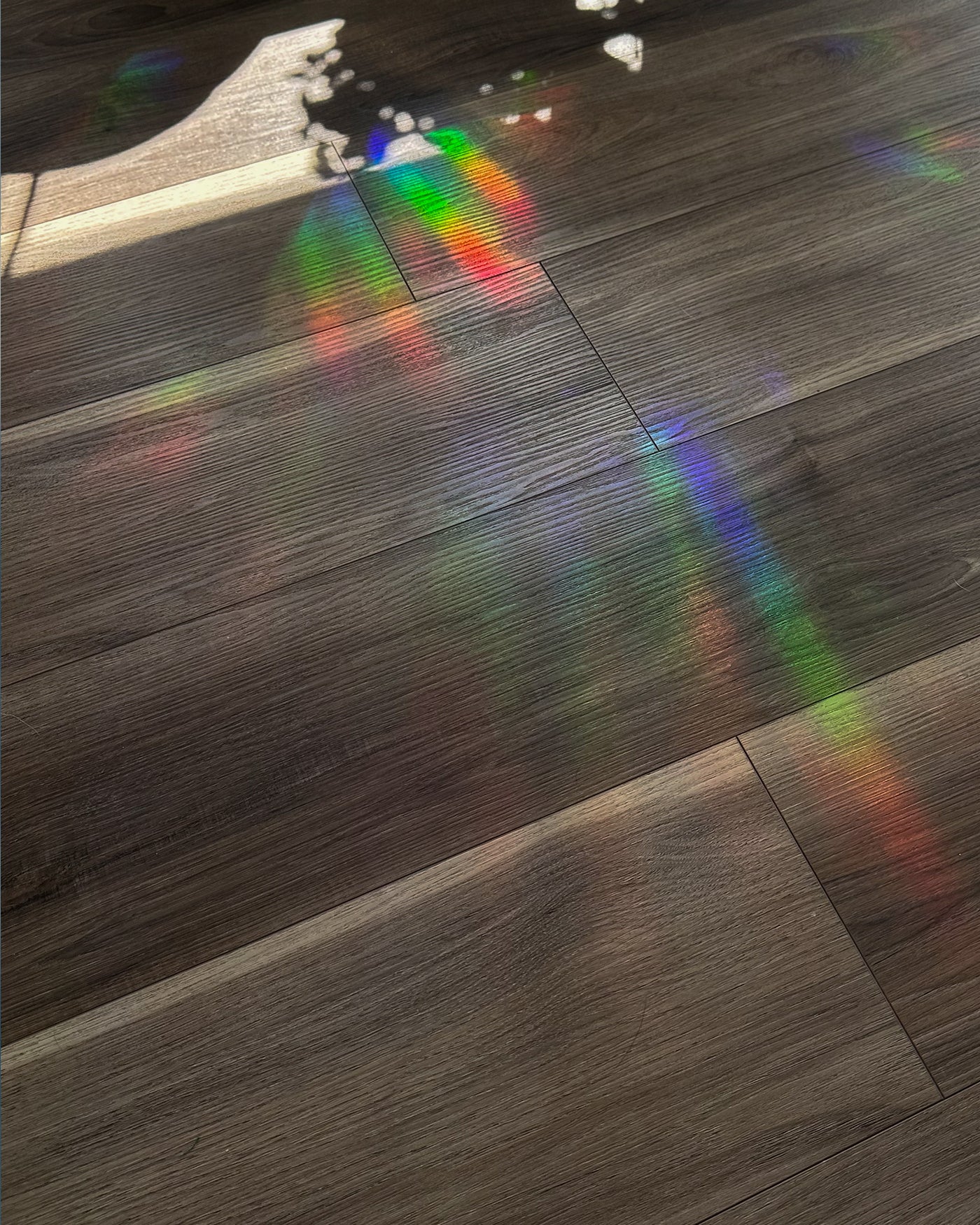 rainbow reflection